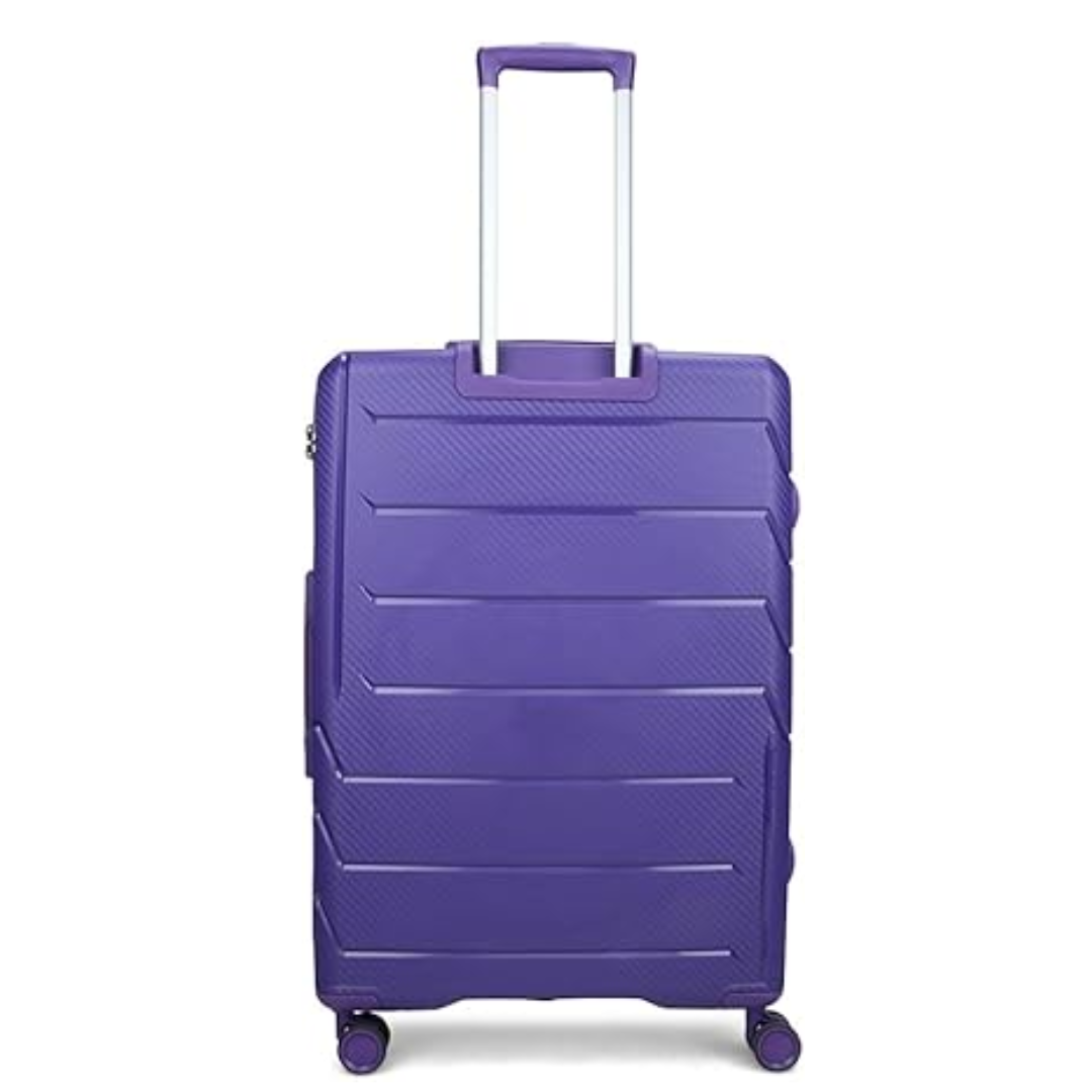 Carlton Chroma Active 8W Strolly Medium Purple