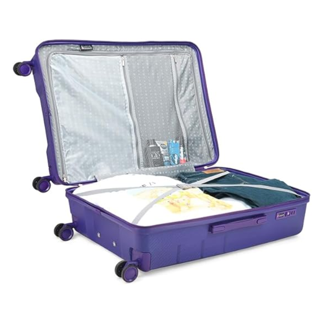 Carlton Chroma Active 8W Strolly Medium Purple