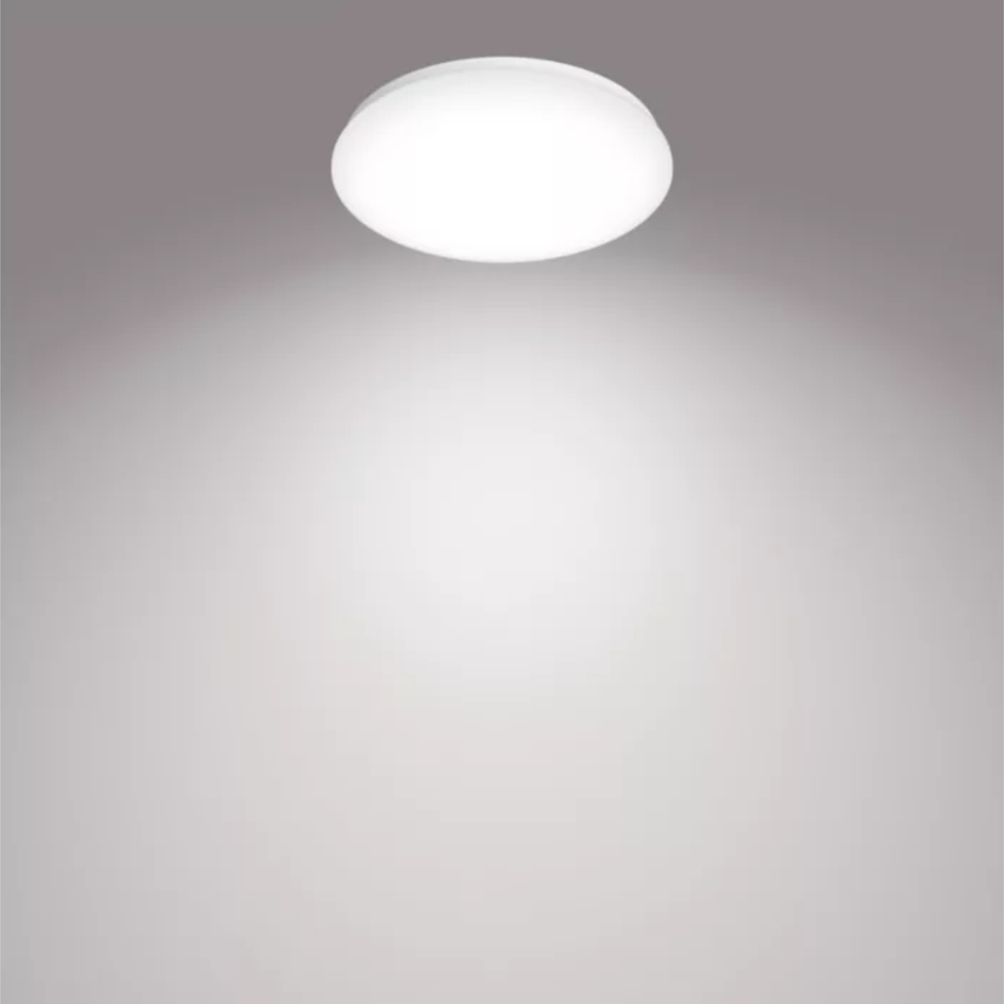 Philips Moire Ceiling Light 17W Cool White Light D320