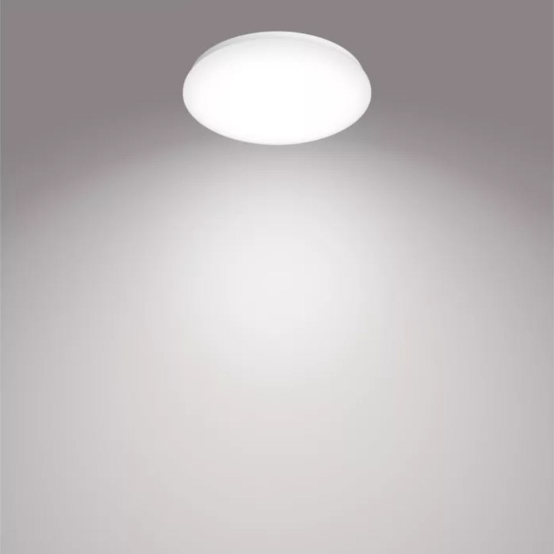 Philips Moire Ceiling Light 17W Cool White Light D320