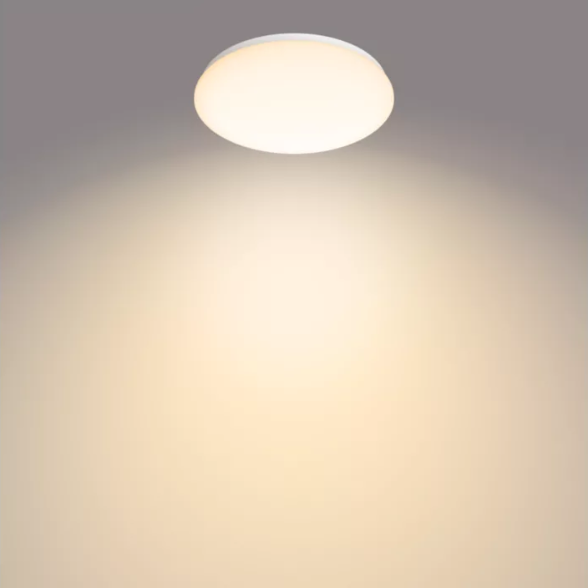 Philips Moire Ceiling Light 10W Warm White Light D240