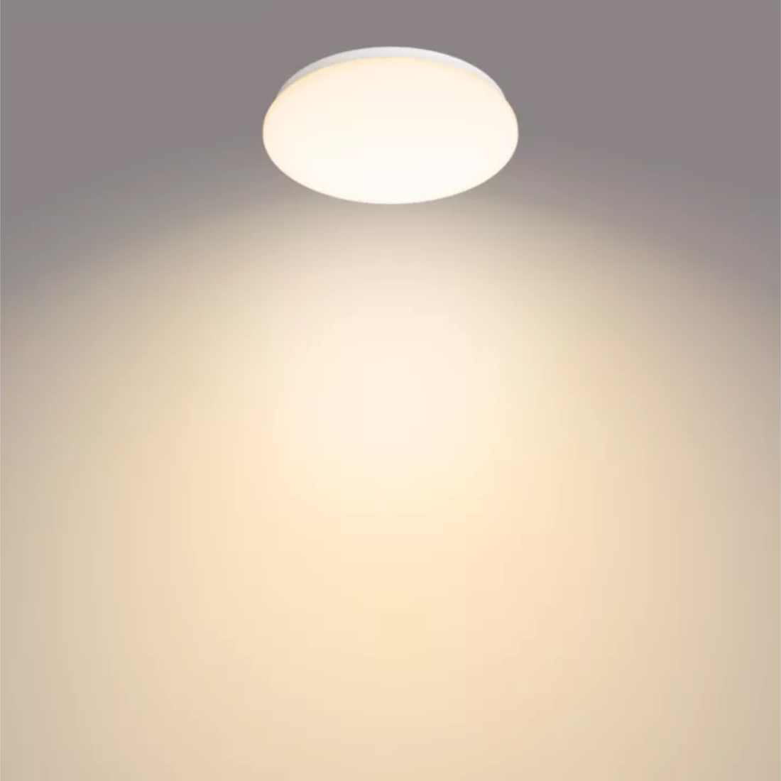 Philips Moire Ceiling Light 36W Warm White Light D490