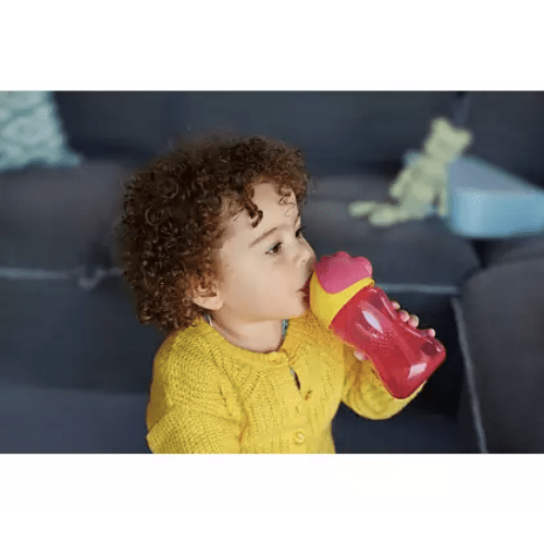 Philips Avent Straw Cup 300ml-SCF798/02