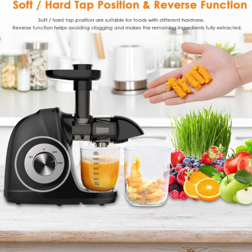 Picberm Slow Masticating Cold Press Juice Extractor