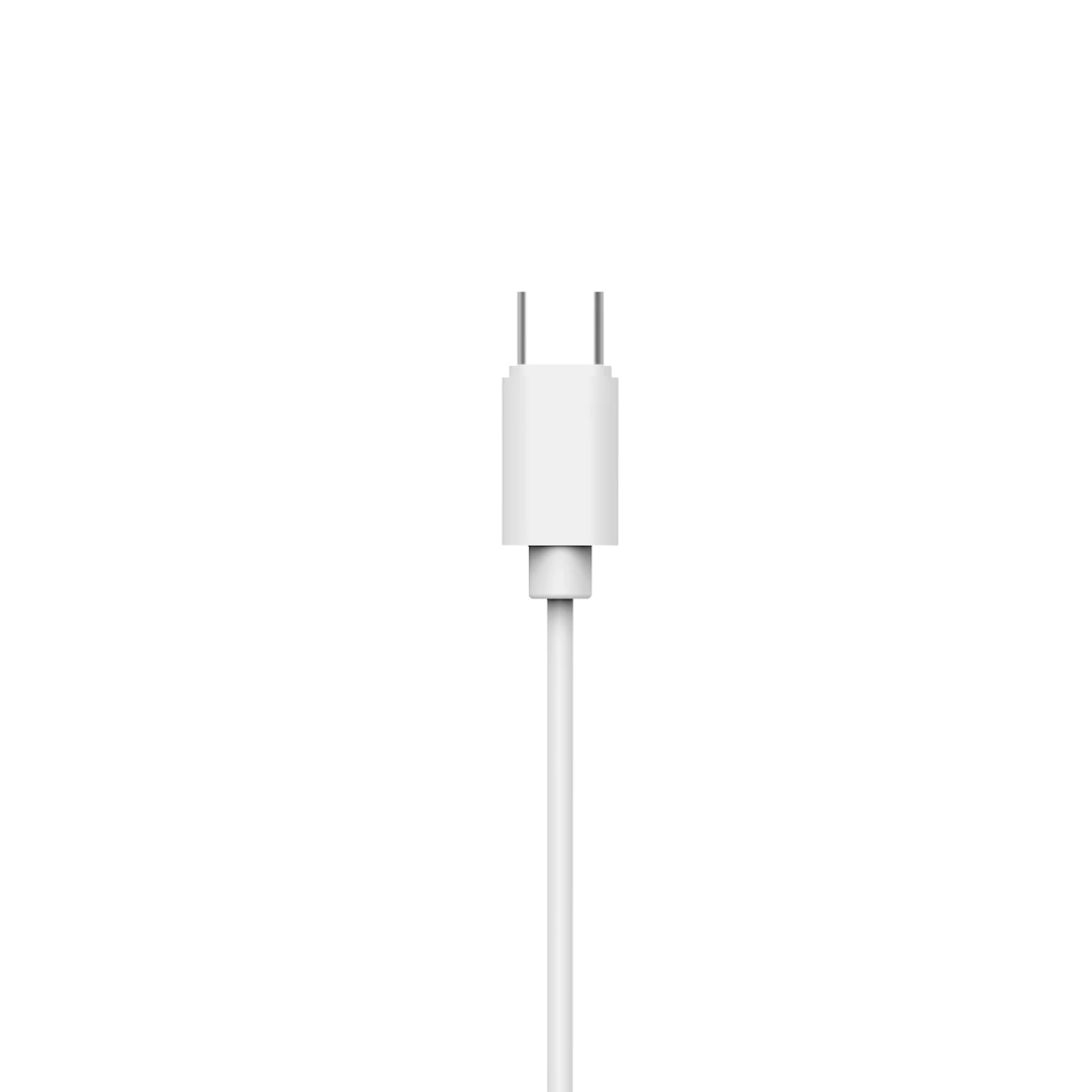 Philips Type-C In-ear wired headphones TAE2146WT/97