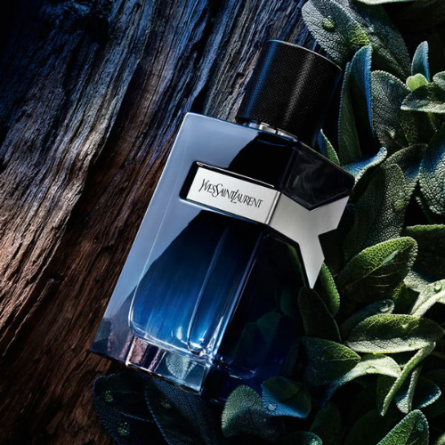 Yves Saint Laurent YSL Y EDP for Men - 100ML