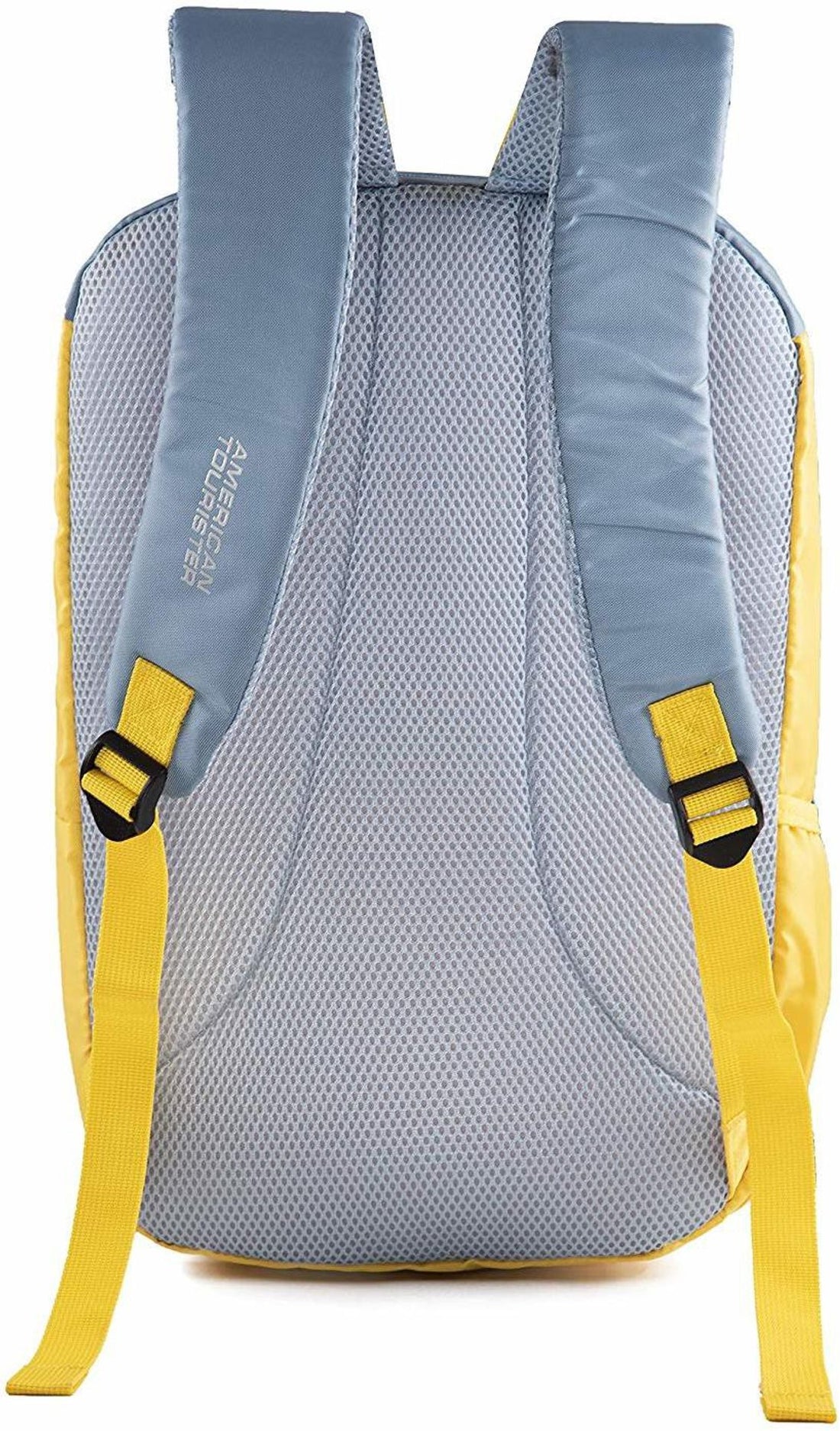 American Tourister BFF 02 — Grey Backpack — back view