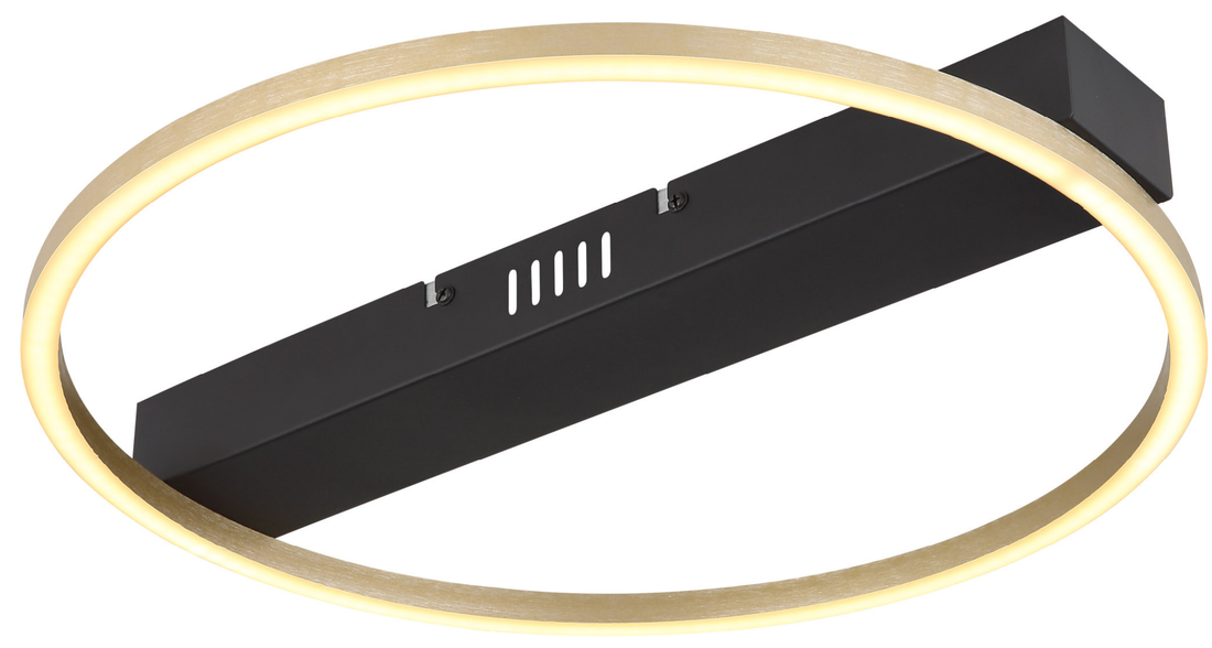 Globo 48461-20R product photo