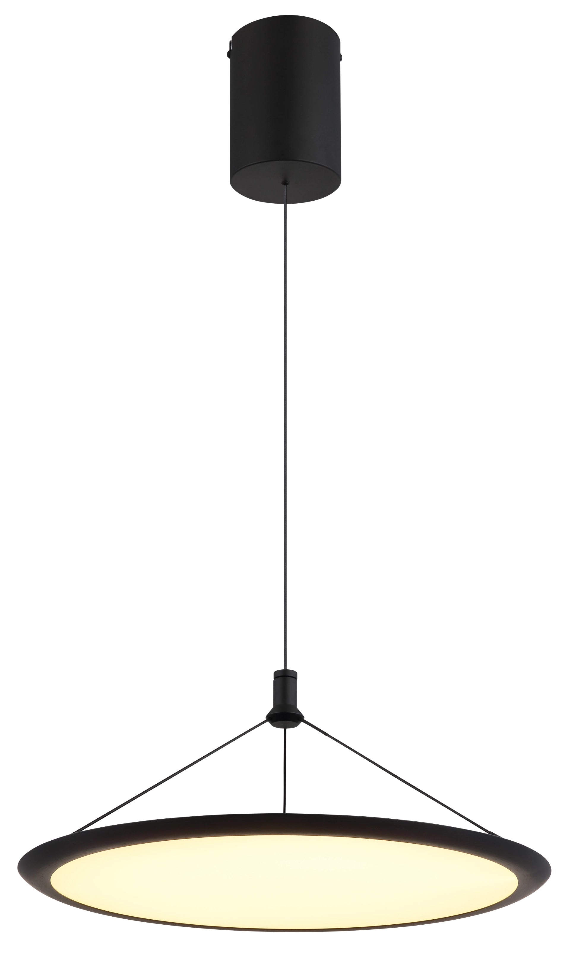 GLOBO 67319 product image
