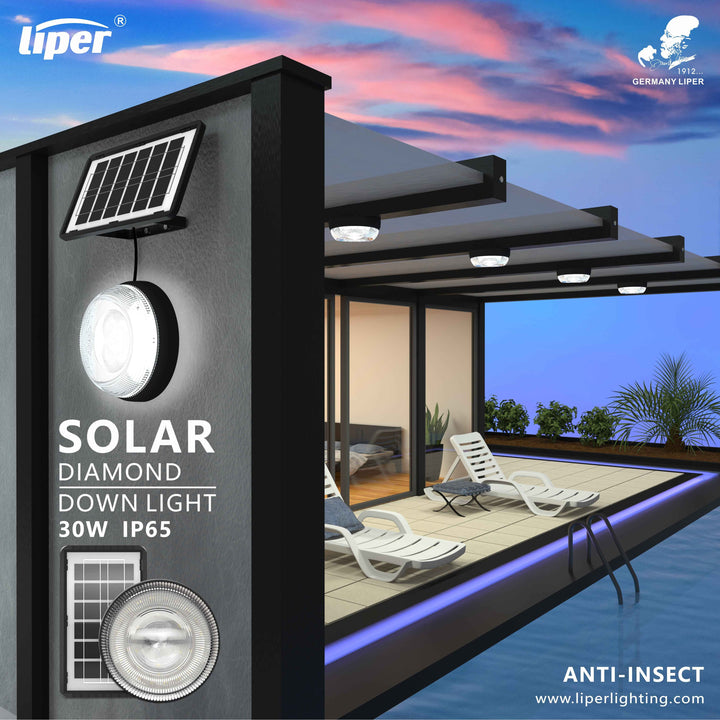 Liper LP-DL30T02-YS 30W Solar LED Bulkhead Light 4000K IP66 | Buy in Kenya | Red Rhino