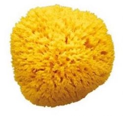 Nuk Natutral Sponge large-40251606 - Red Rhino