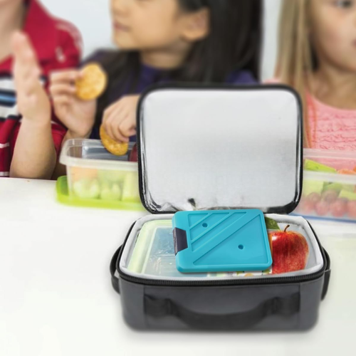 Pinnacle Ice Brick 800ml Blue