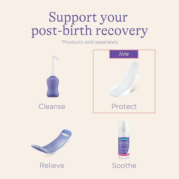 Lansinoh Extra Absorbent Maternity Pads: 0-2 weeks post-birth  large-69720 - Image 6