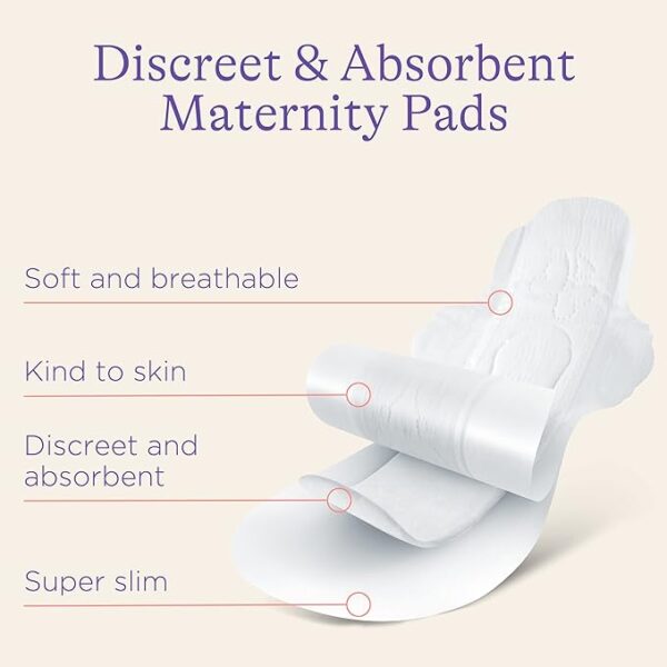 Lansinoh Extra Absorbent Maternity Pads: 0-2 weeks post-birth  large-69720 - Image 4