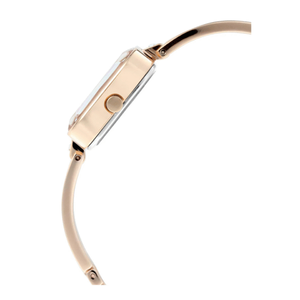 Titan Exclusive IBD Raga Upgrade Watch for Women - Image 3