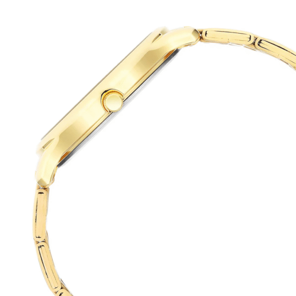 Titan Karishma Black Dial Brass Strap Watch for Men - Image 3