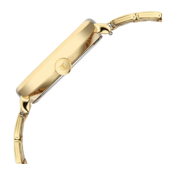 Titan Neo Curve 2.0 Green Dial Gold Stainless Steel Watch for Men - Image 3