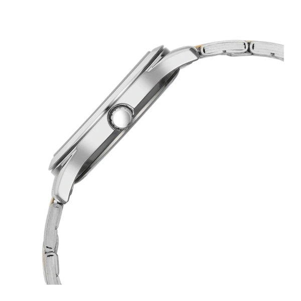 Titan Silver White Dial Analog Watch for Men - Image 3