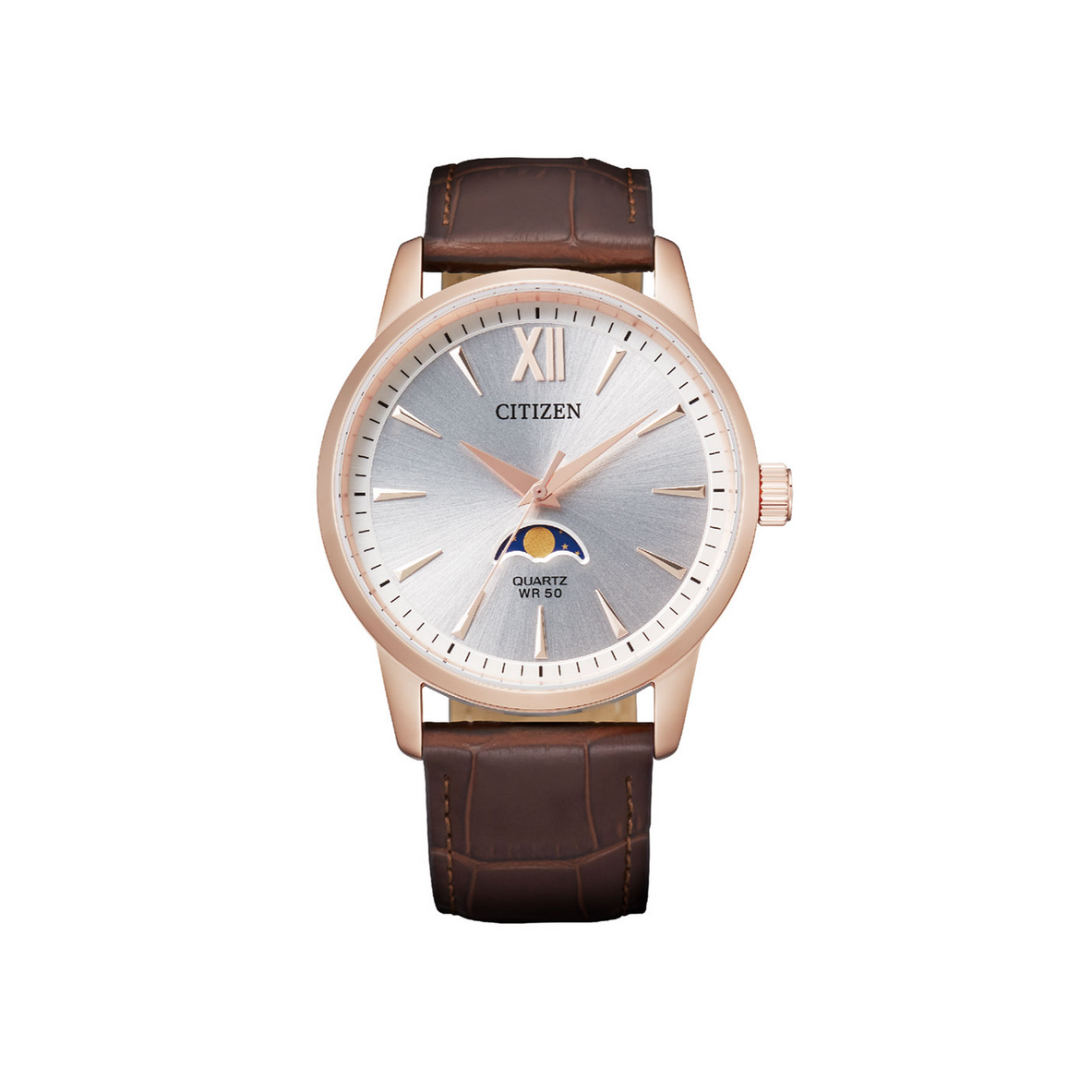 CITIZEN WATCH AK5003-05A