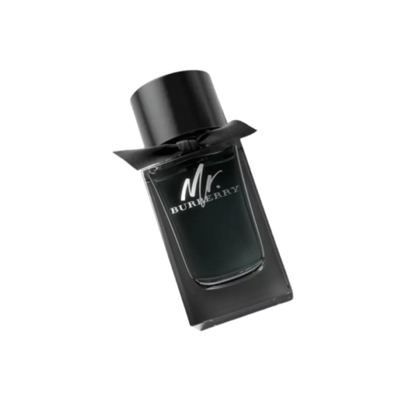 Burberry Mr. Burberry Men Eau de Parfum - 100ML