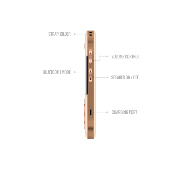 Saregama Carvaan SCG210 ROSE GOLD SCG210-RGD