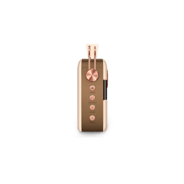 Saregama Carvaan Gold 2.0 - Rose gold SC131-H - Image 4