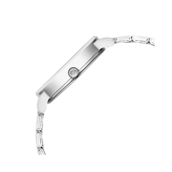 TITAN WATCH 2648SM07