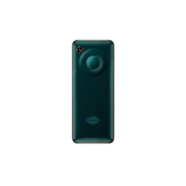 Saregama Carvaan M21 Keypad Mobile Phone 2.4