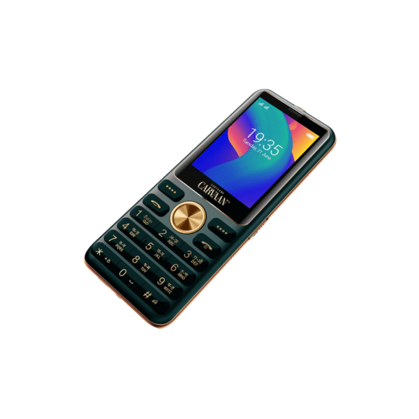 Saregama Carvaan M21 Keypad Mobile Phone 2.4