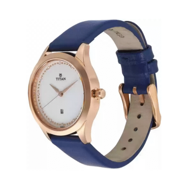 TITAN WATCH NN2570SL02 DH630 - PURPLE