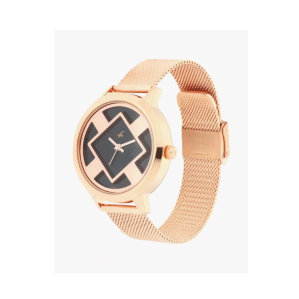 TITAN WATCH NP6210WM01 DK347